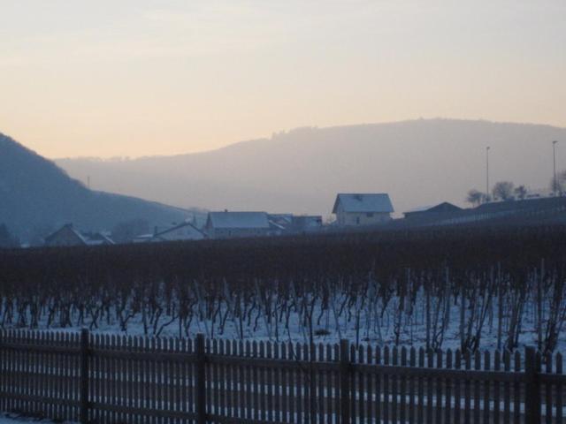 Moselschoen 2.0 Alken Esterno foto